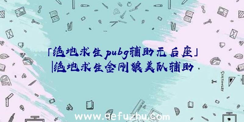 「绝地求生pubg辅助无后座」|绝地求生金刚狼美队辅助